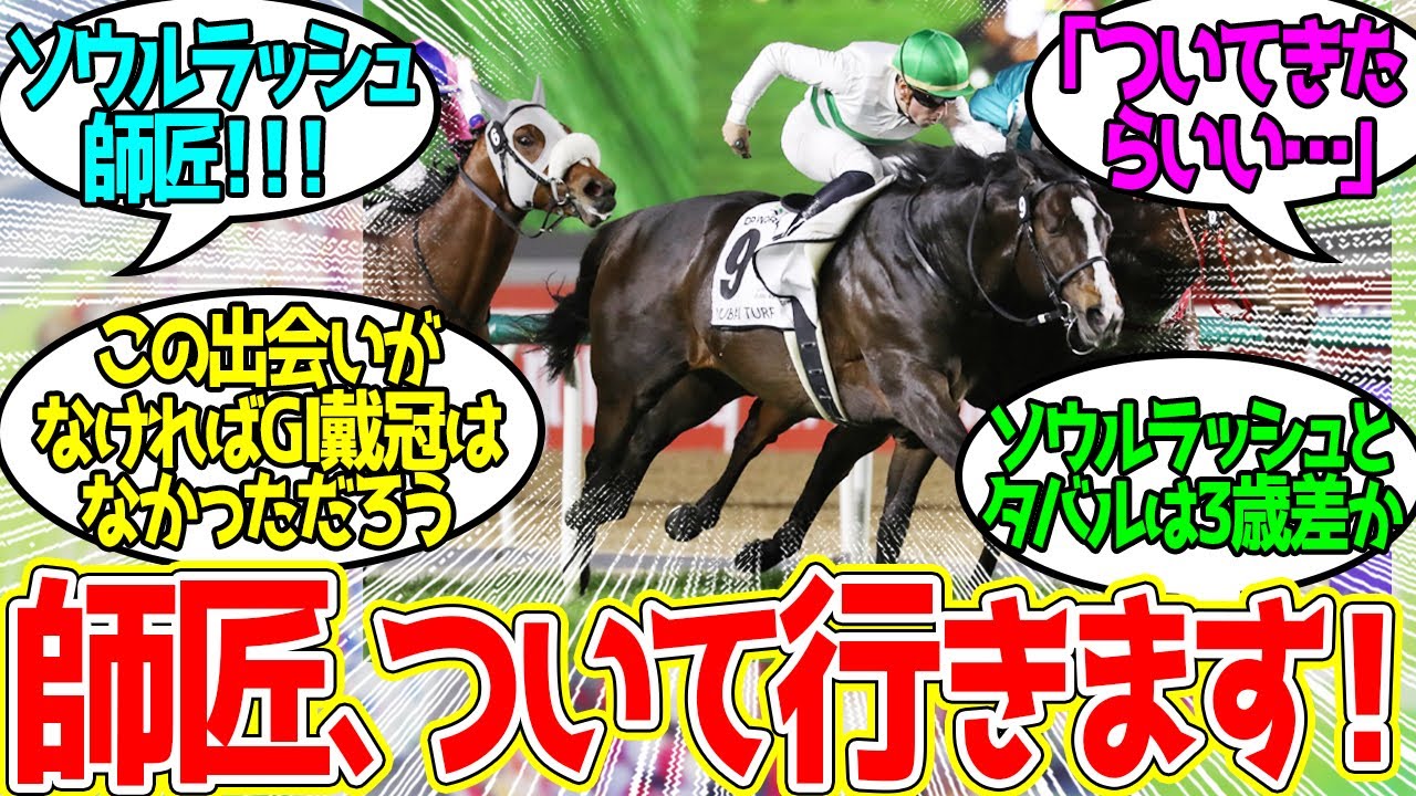 メイショウタバルとソウルラッシュ先輩の関係性…に対するみんなの反応！【競馬 の反応集】