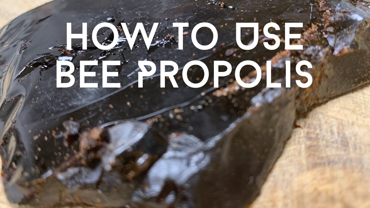 How to Make Bee Propolis Salve and Lip Balm
