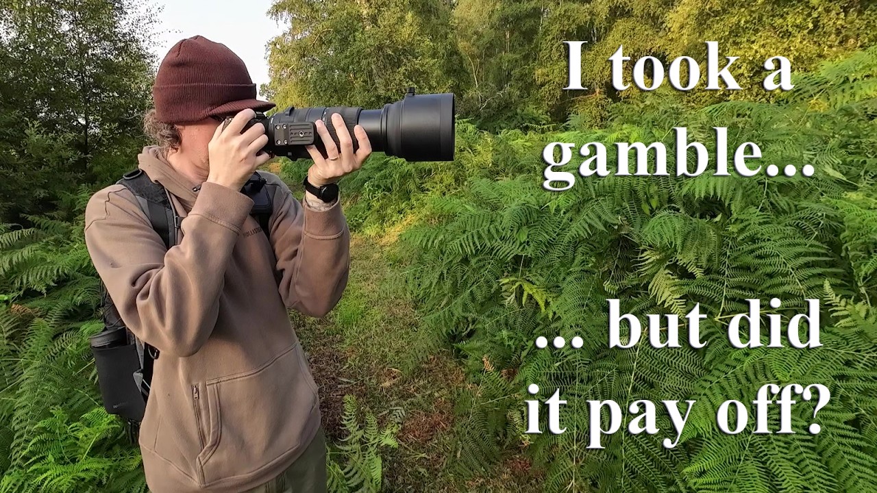I took a gamble! Early morning wildlife photography
