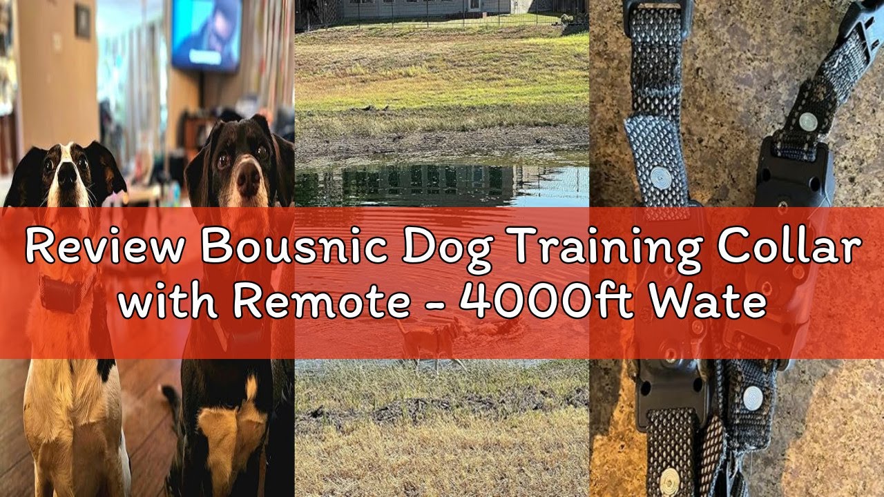 Review Bousnic Dog Training Collar with Remote - 4000ft Waterproof Dog Shock Collars 2 Dogs for Larg