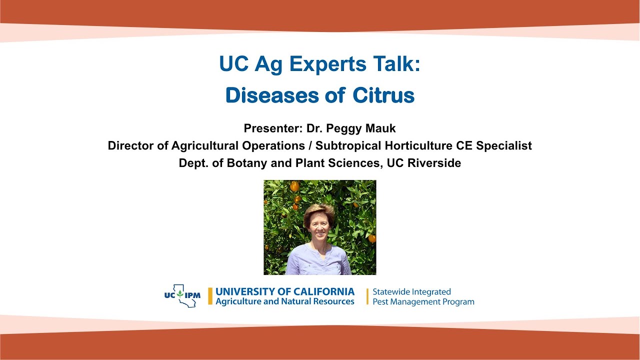 UC Ag Experts Talk: Diseases of Citrus