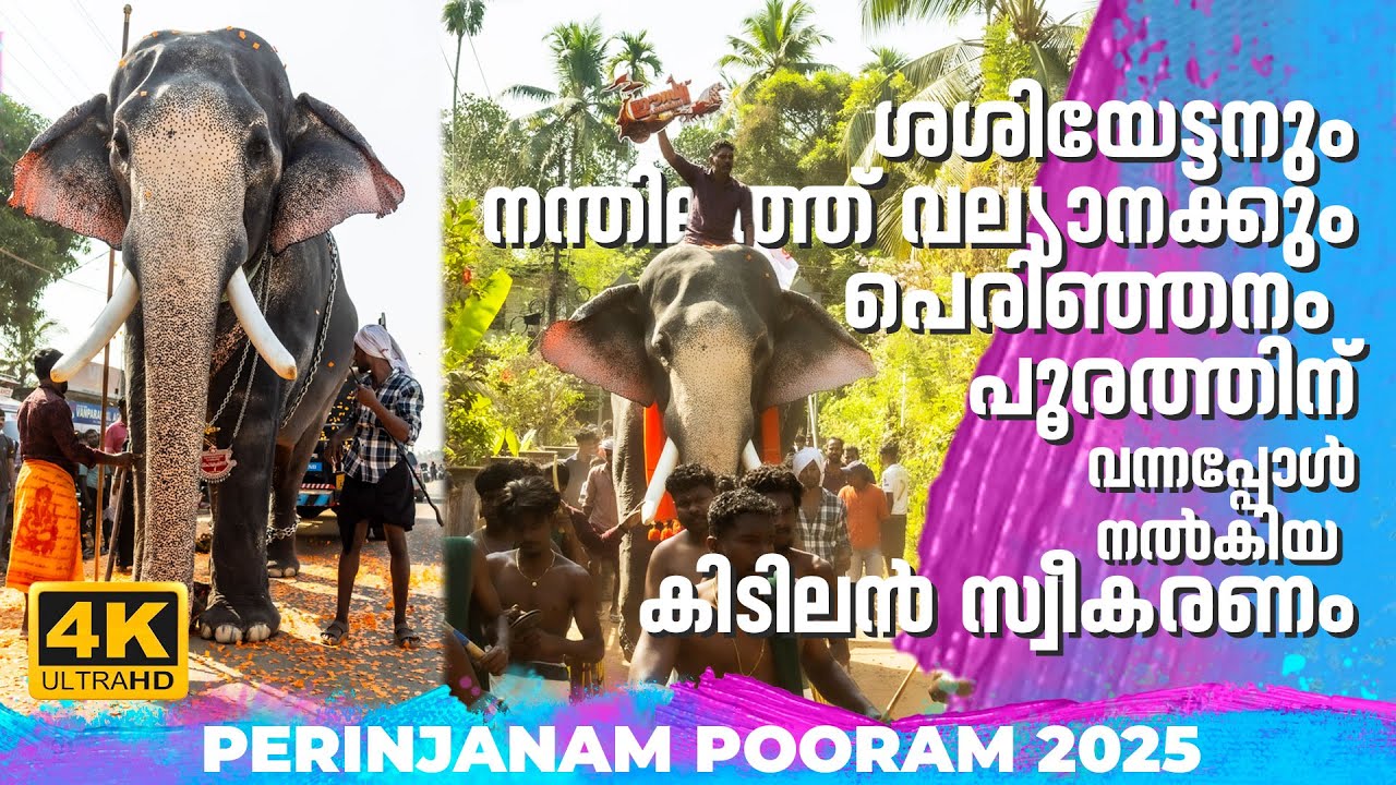ശശിയേട്ടനും നന്തിലത്ത് വല്യാനക്കും പെരിഞ്ഞനം പൂരത്തിന് വന്നപ്പോൾ നൽകിയ കിടിലൻ സ്വീകരണം🔥😍🐘NGK | 4K