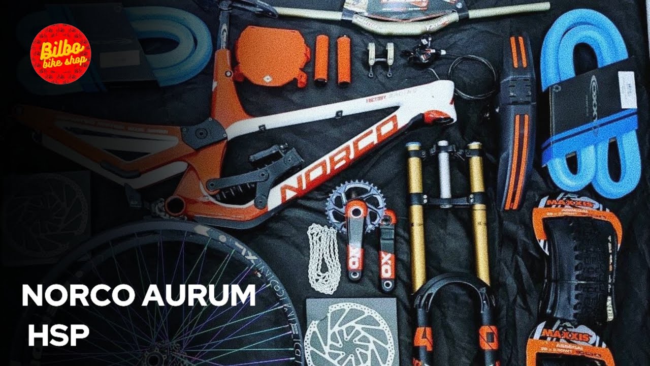 || Downhill Dream Build || Norco Aurum Hsp 2019 Factory Racing