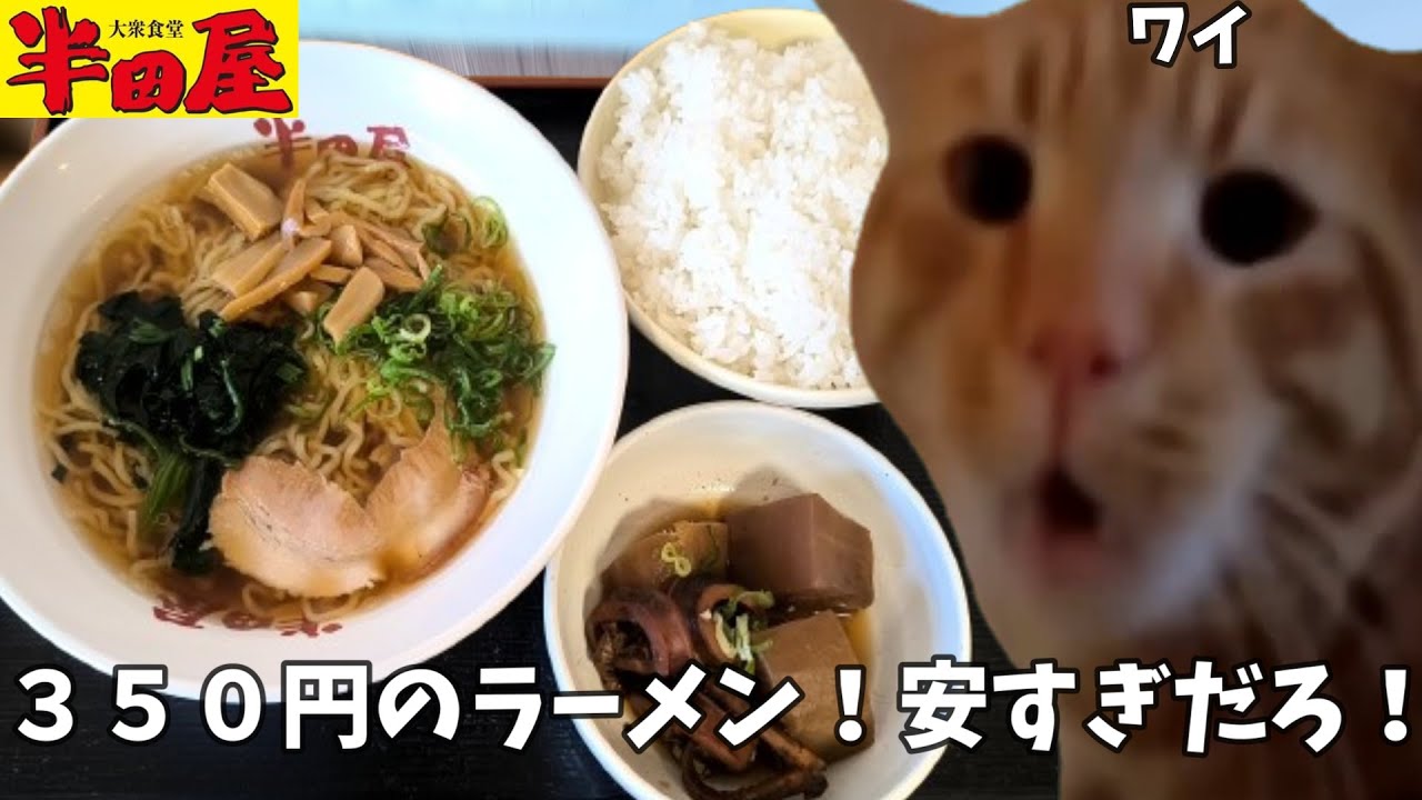 【半田屋】東北の激安大衆食堂チェーン店でどんぶり飯と350円のラーメンをキメて大満足してきた話【大盛りご飯】#猫ミーム #猫マニ