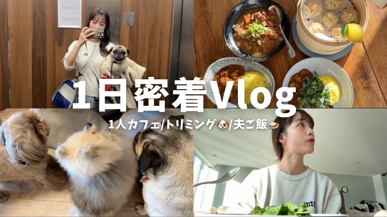 【1日密着Vlog】夜ご飯は夫におまかせ🍚ゆるっとな一日🐶
