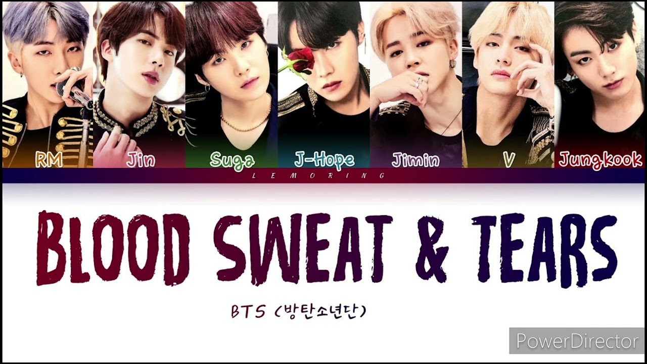 BTS | Blood Sweat & Tears | Full HD (Lyrics) Music Video