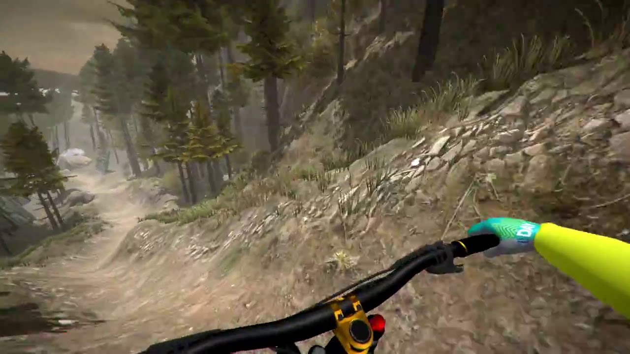 PC MTB Downhill Simulator