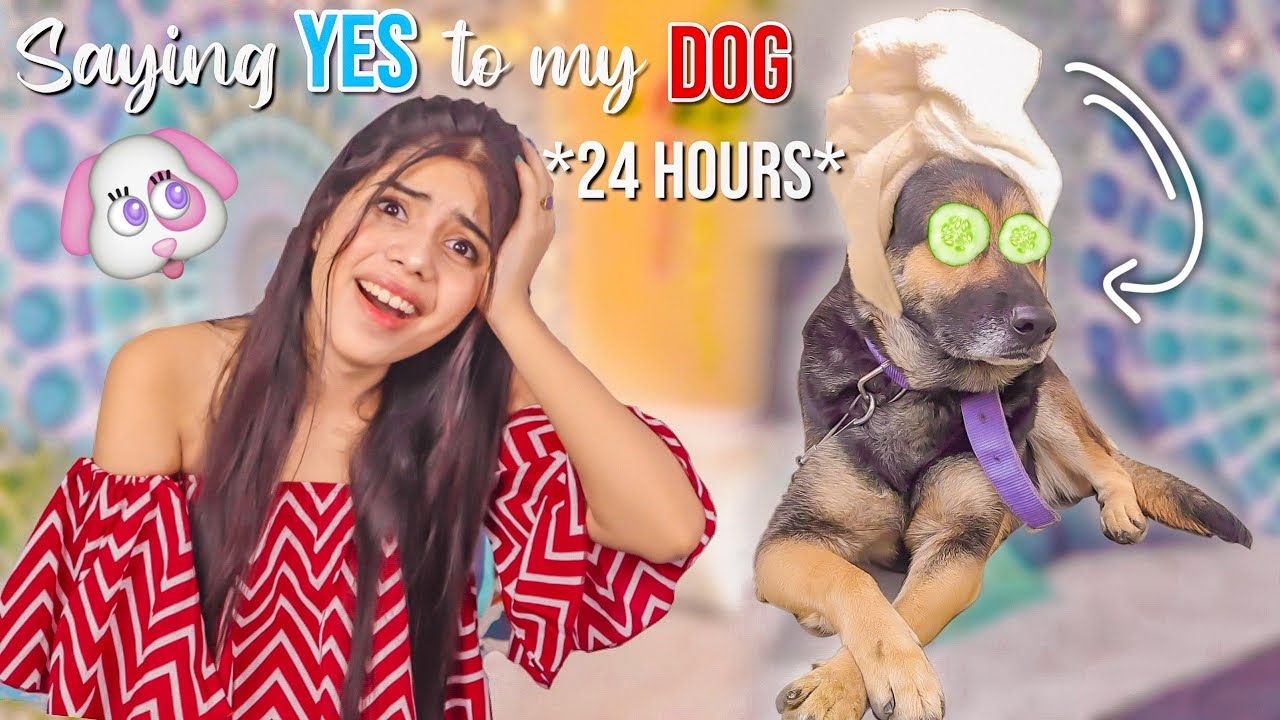 My DOG controls my LIFE for 24 Hours!! *and this is what happened* 🐶