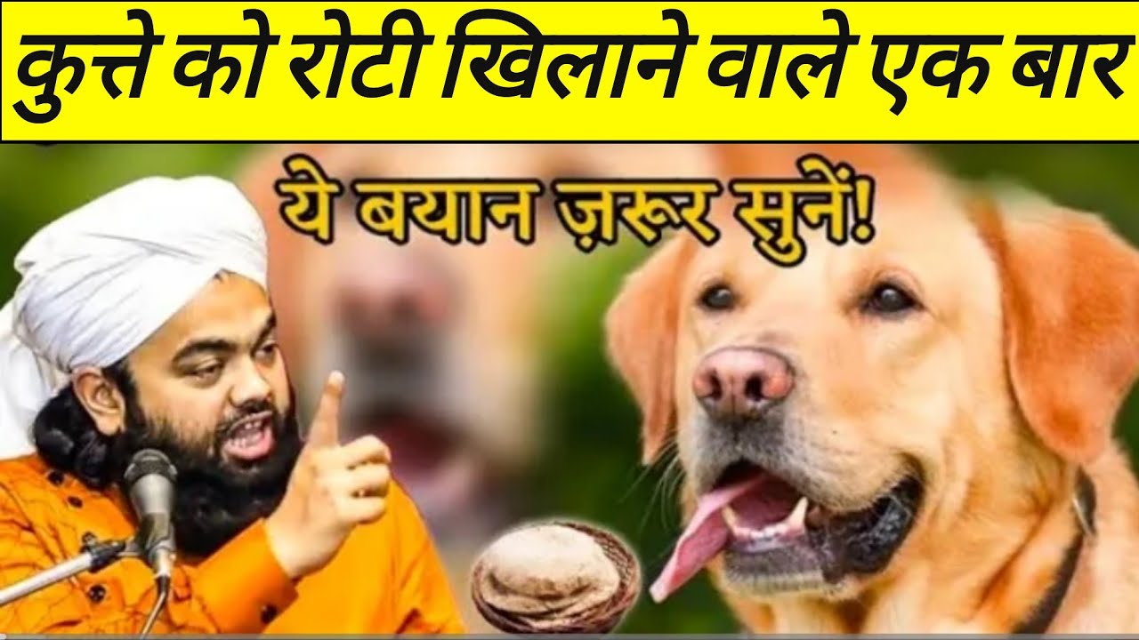Kutte Ko Roti Khilane Wale Yeh Bayan Ek Bar Zaroor Sune | Sayyed Aminul Qadri |
