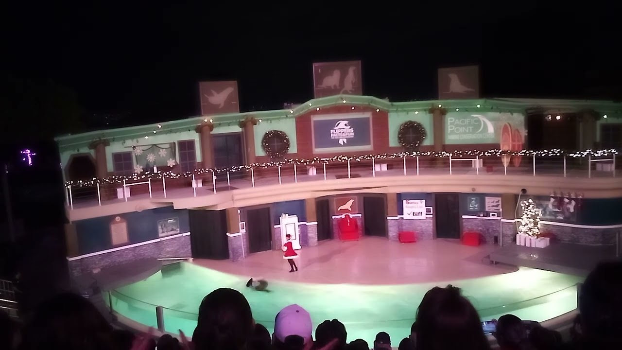 Clyde and Semore's Christmas special 