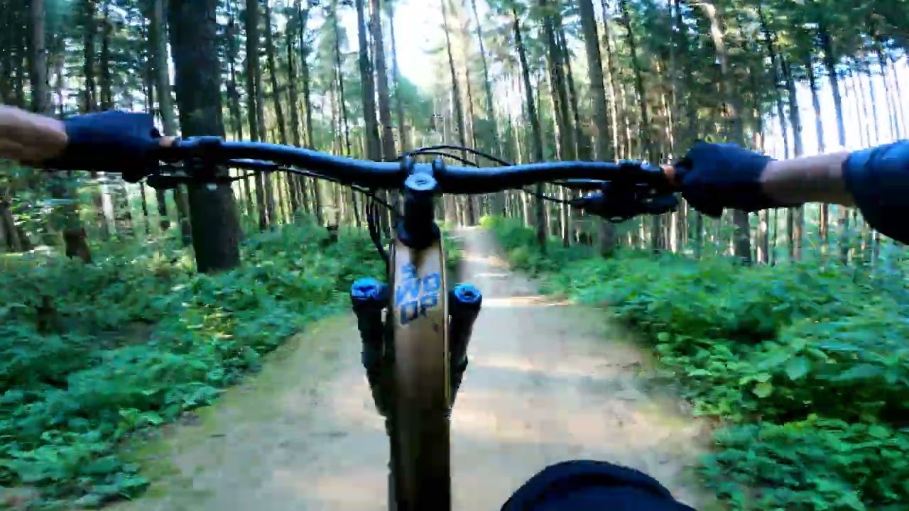 FlowForestTrailGünzburg 11.09.23 UHD