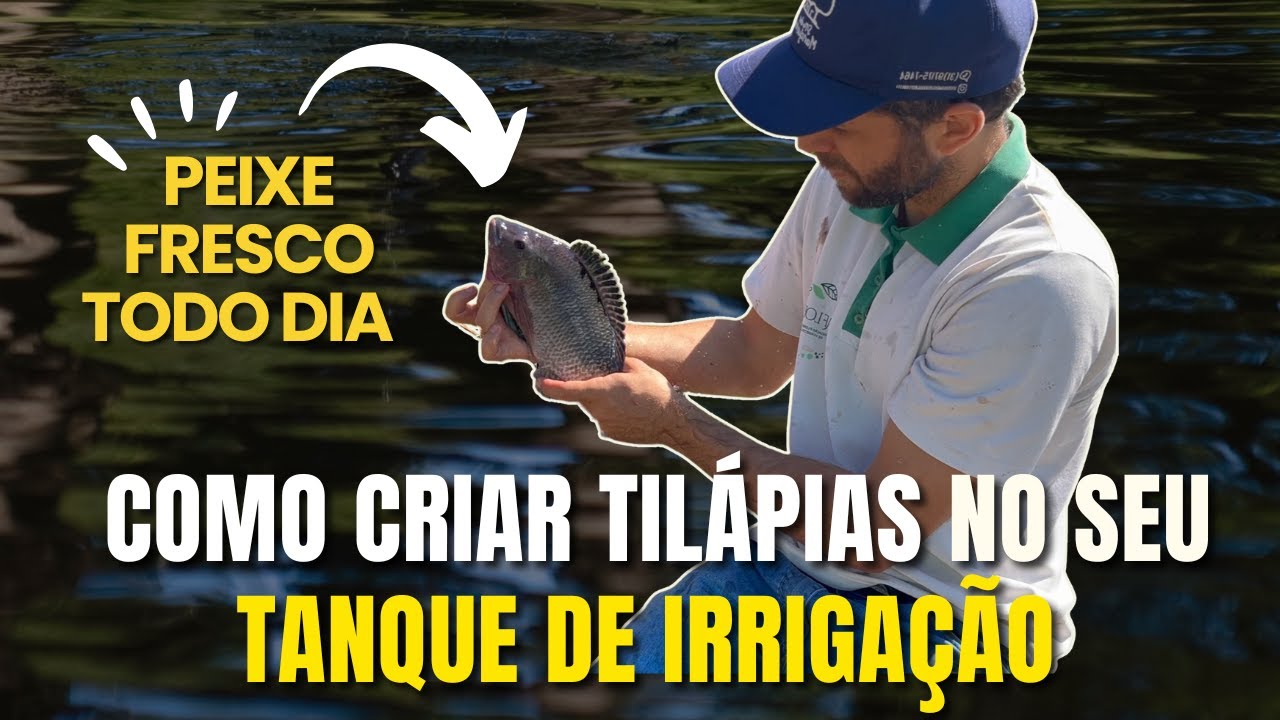 🐟 Adaptei o Sisteminha Embrapa no meu Tanque de Irrigação – Veja como ficou!