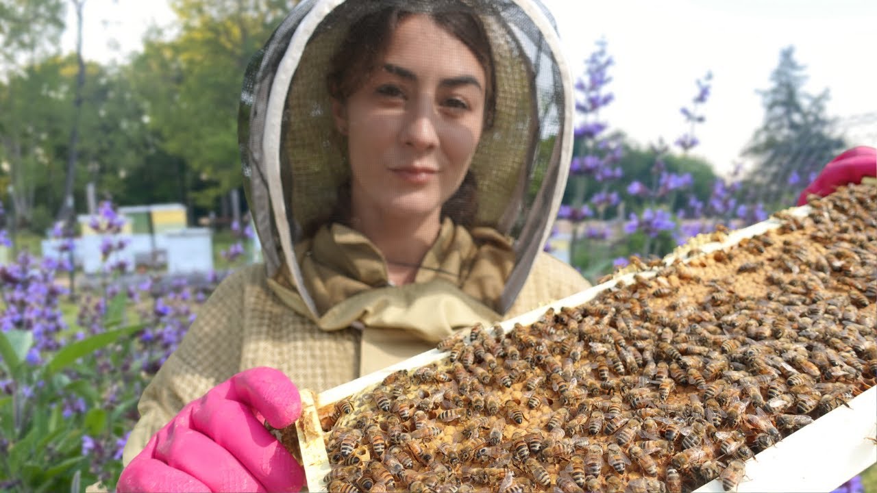 Remember that SWARM??? Let's INSPECT them!!