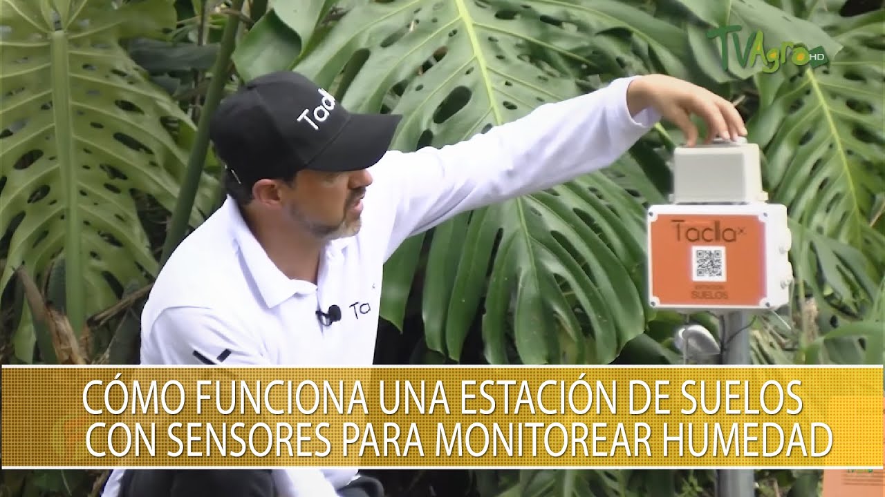 IOT, Tecnologias 4.0 y Sensores para Mayor Productividad en la Agricultura - TvAgro por Juan Gonzalo