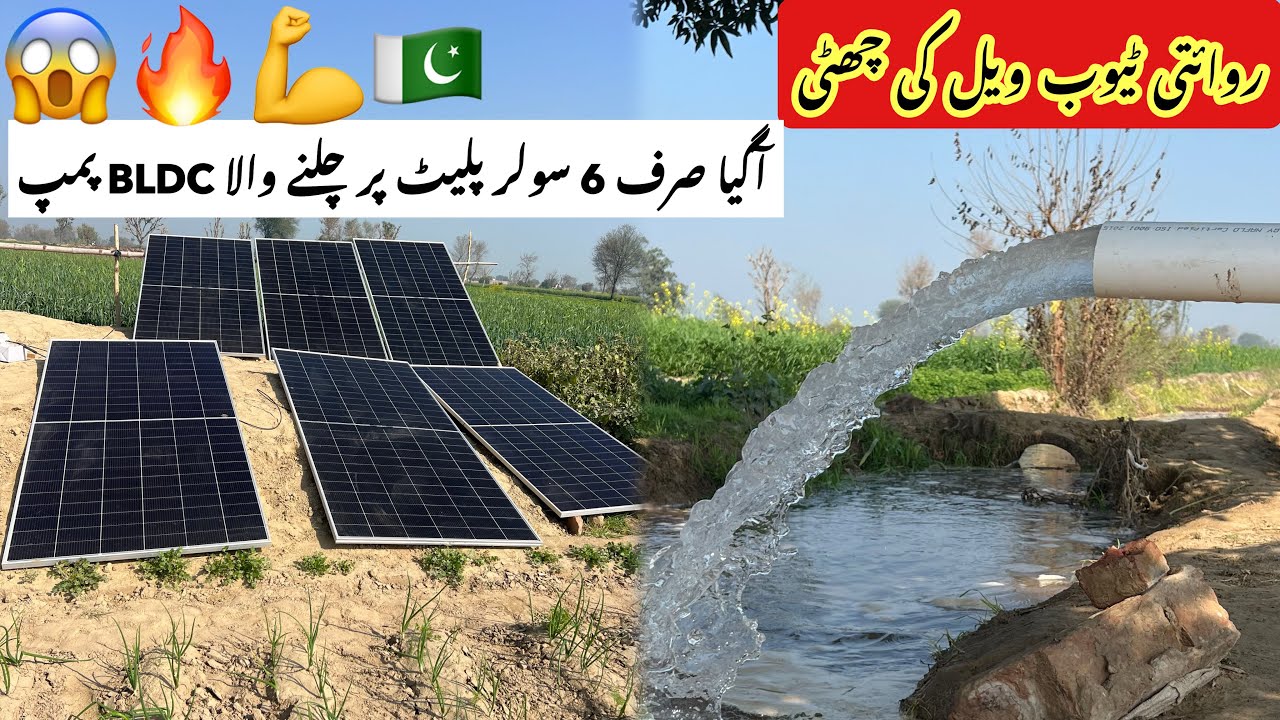 روایتی ٹیوب ویل کی چھٹی پاکستان میں اگیا صرف6 سولر پلیٹ پر چلنے والا BLDC جدید ٹیکنالوجی کا واٹر پمپ