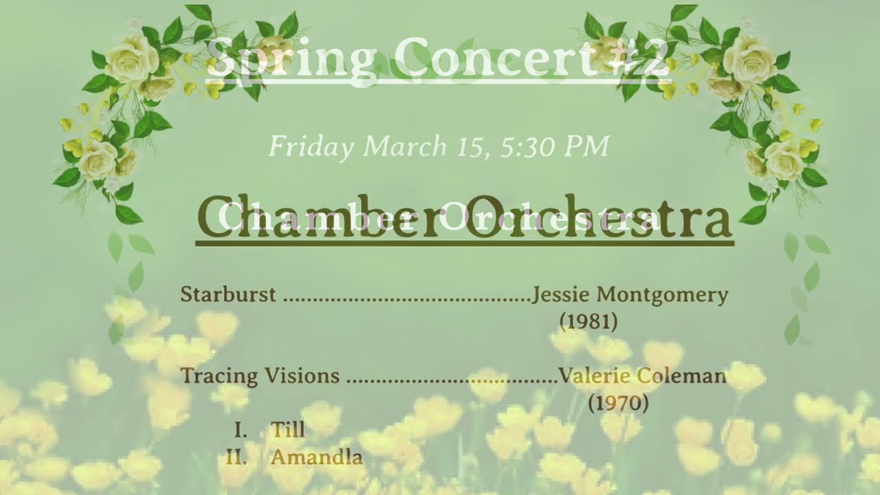 Chamber Orchestra Spring 24 HD 1080p