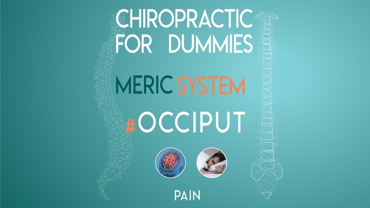 28. CHIROPRACTIC FOR DUMMIES -  MERIC SYSTEM - OCCIPUT