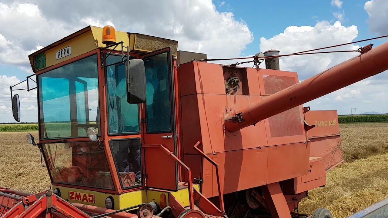 Zmaj 142 Žetva Ogar 2018