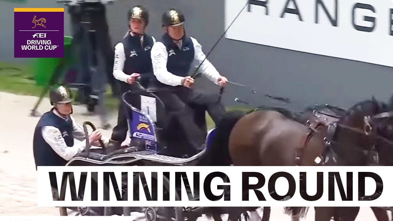 Another day, another victory for Boyd Exell! 🏆 |  FEI Driving World Cup&trade; Geneva 2025