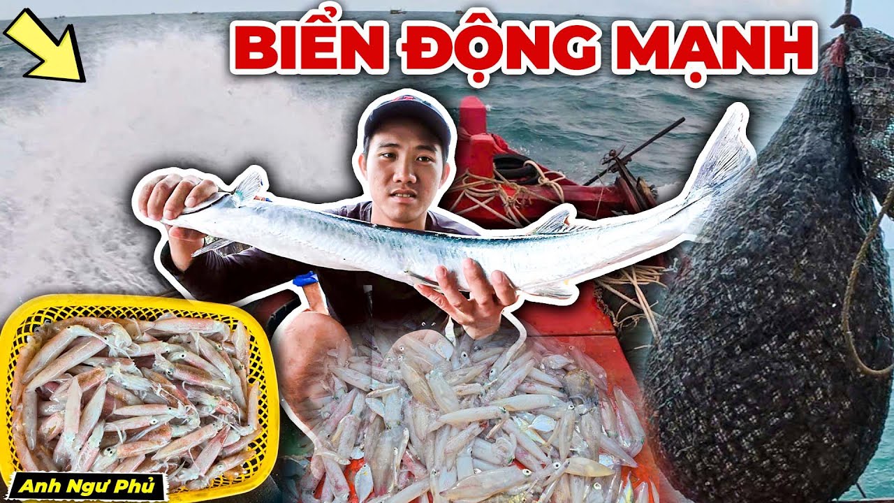 Biển Động Mạnh Theo Ghe Ông Anh Học Hỏi Kinh Nghiệm Cào Mực | Anh Ngư Phủ