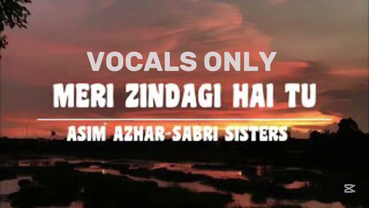 MERI ZINDAGI HAI TU | ASIM AZHAR | VOCALS ONLY | WITHOUT MUSIC |