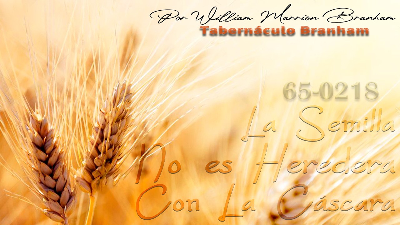La Semilla No Es Heredera Con La Cáscara (65-0218)