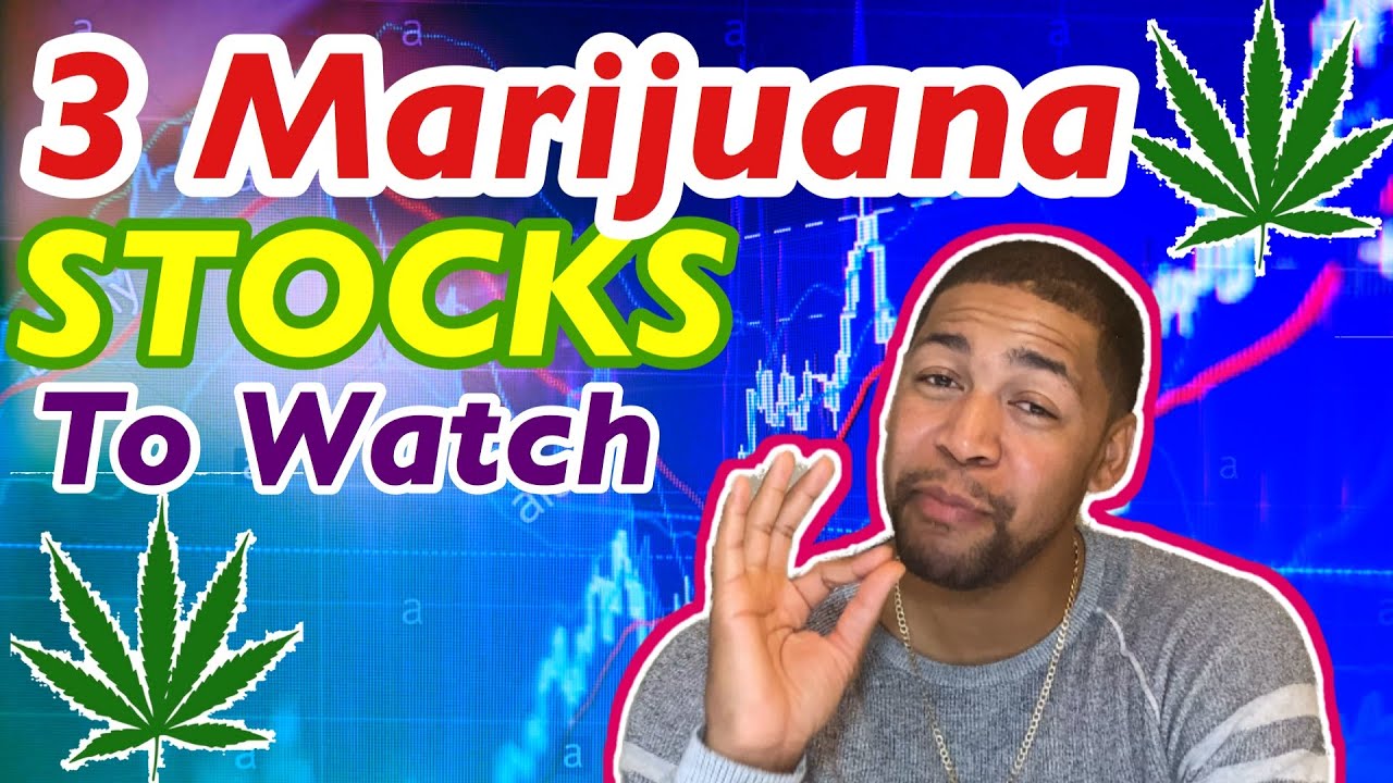 Top 3 CANNABIS STOCKS that pay a dividend (2020)