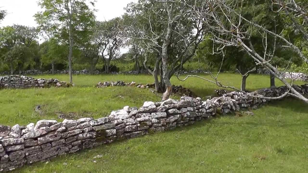 Guldfiskar och Ödeby på Ölands alvar