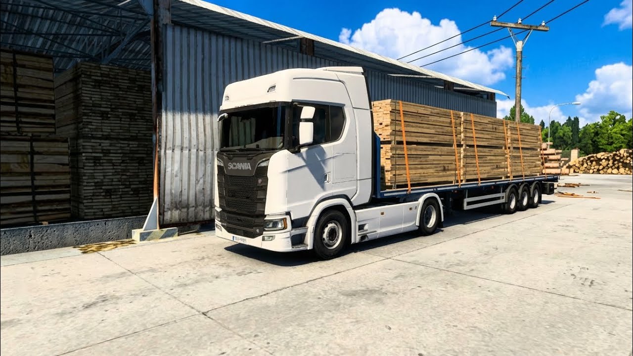 Professional Pace. ETS2.