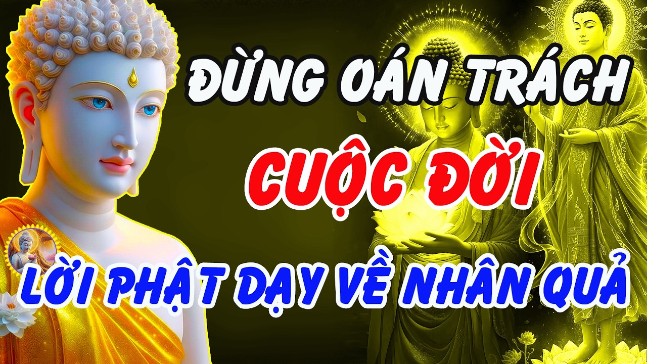Đừng Oán Trách Cuộc Đời – Lời Phật Dạy Nhân Quả Báo Ứng Không Bỏ Sót Một Ai