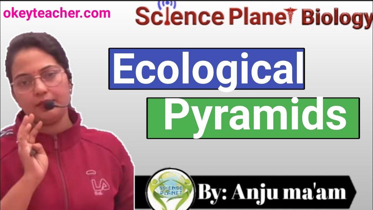 Ecological Pyramids ||By Anju ma'am|| @scienceplanetbiology