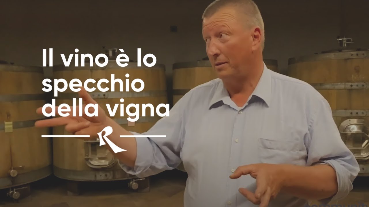 Damijan, Gorizia - Il vino è lo specchio della vigna