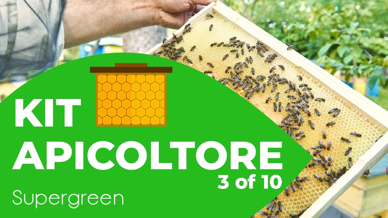 3 of 10 - Strumenti dell'apicoltore - Melario, coprifavo, alimentatore, griglia escludi regina