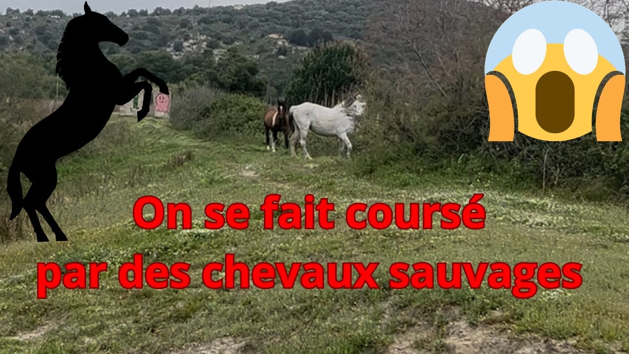 On a flippers 😱😱😱