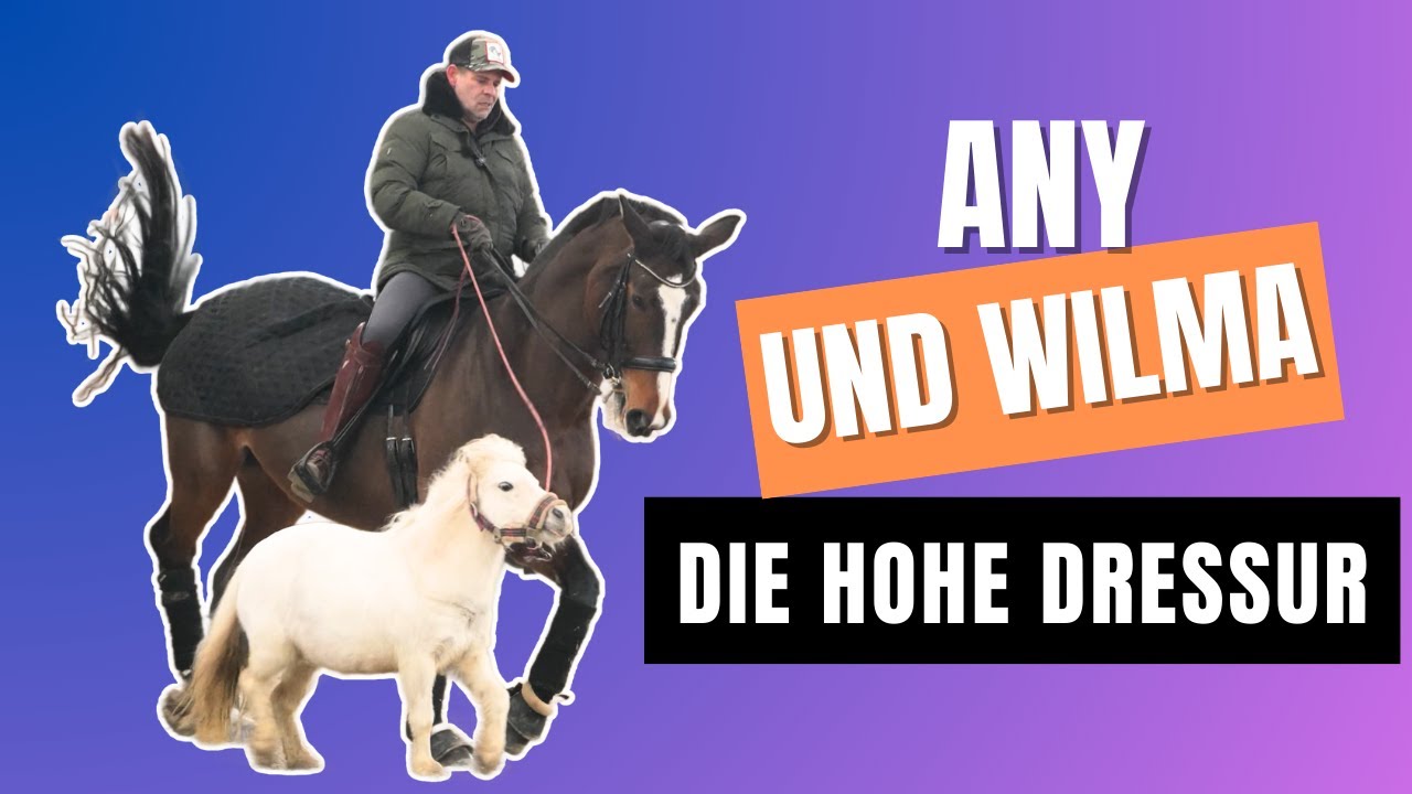 Any und Wilma die hohe Dressur