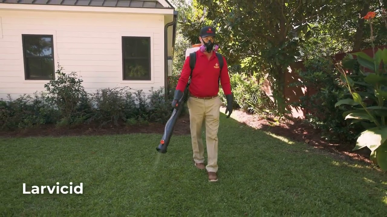 Best Mosquito Control in Charleston, SC
