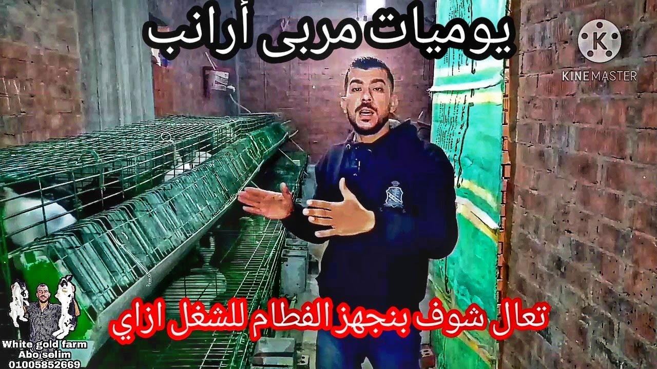 كم ارنب فطام في العين الواحده؟ وايه هو الوقت المناسب لفصلهم عن بعض