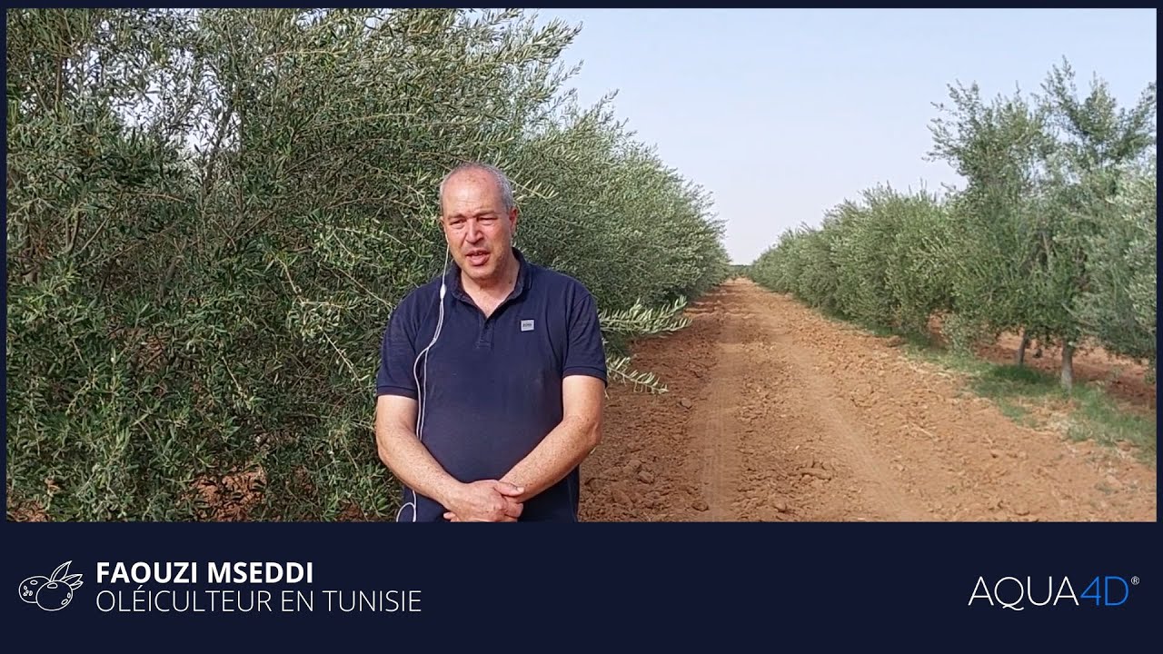 AQUA4D -Gestion de la salinité des sols - Témoignage de Faouzi Mseddi, oliviculteur en Tunisie