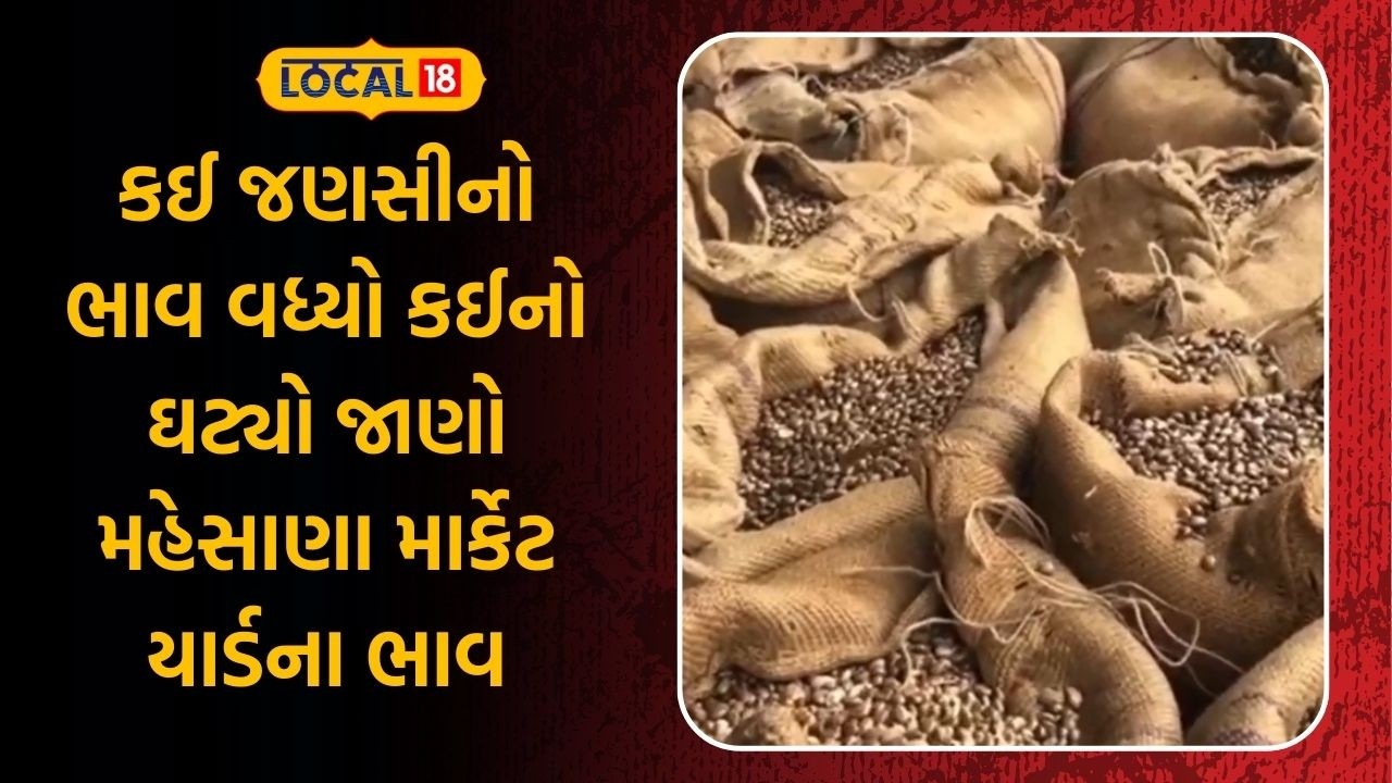 Mehsana Market Yard News | કઈ જણસીનો ભાવ વધ્યો કઈનો ઘટ્યો જાણો મહેસાણા માર્કેટ યાર્ડના ભાવ | Local18