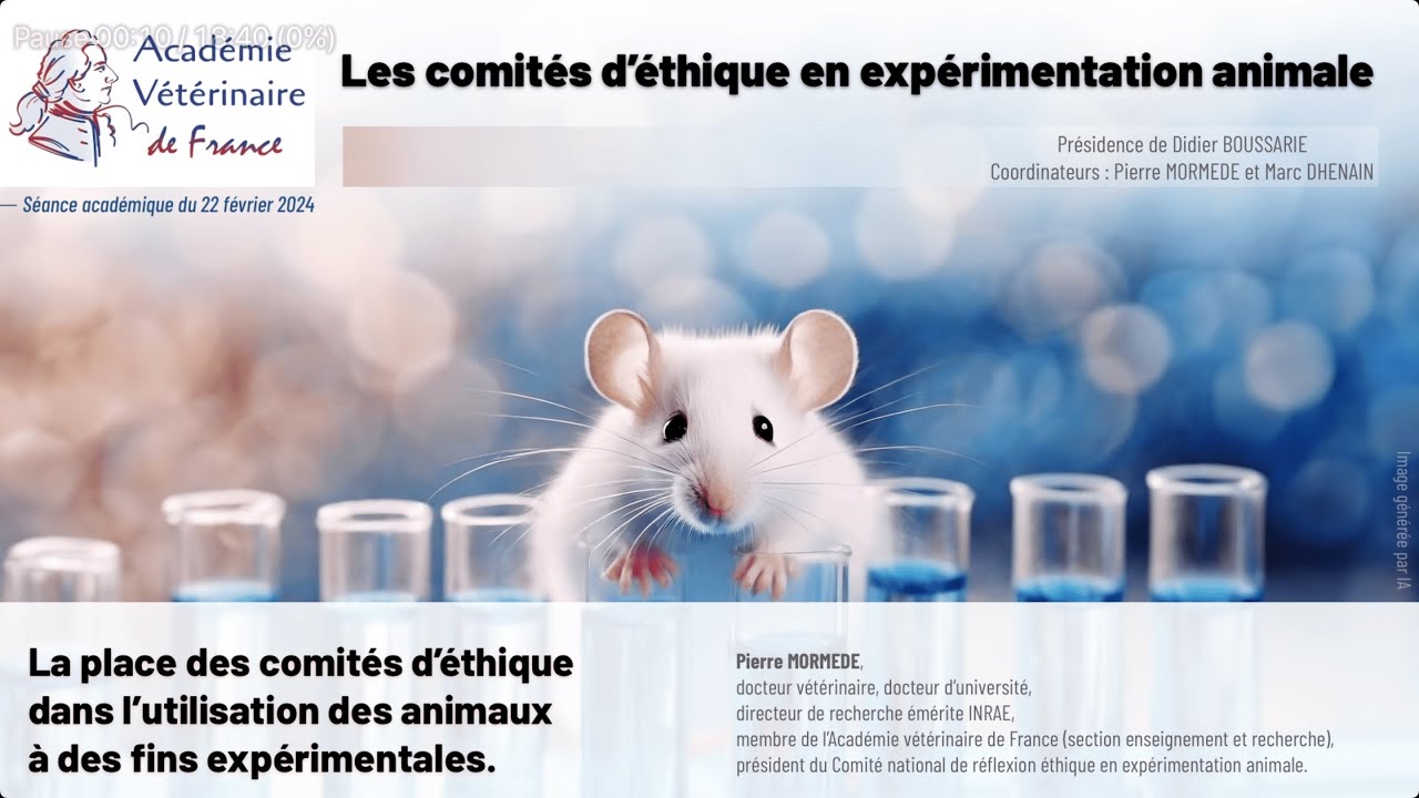 La place des comités d’éthique dans l’utilisation des animaux à des fins expérimentales.