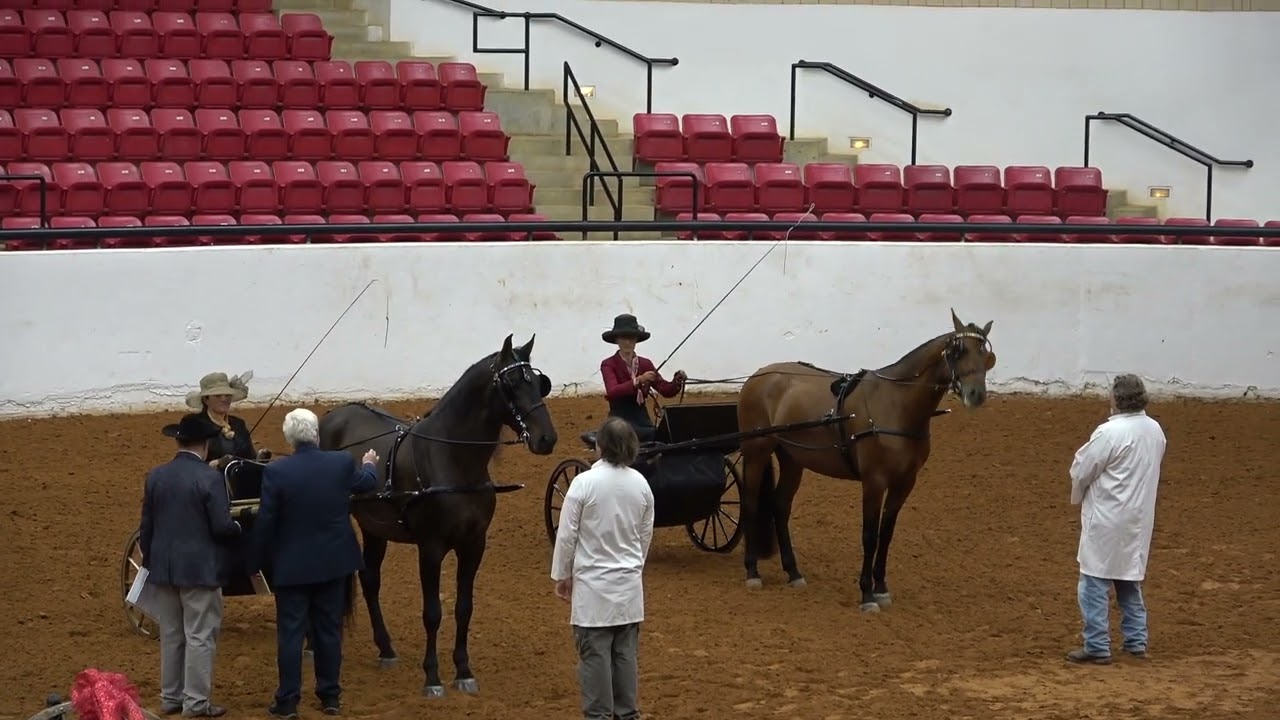 IALHA Nationals 2022 Country Pleasure Driving- Open
