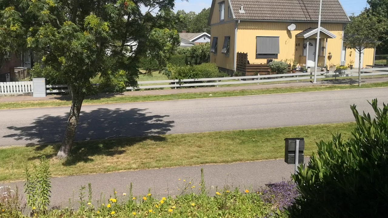Hela middagen...
