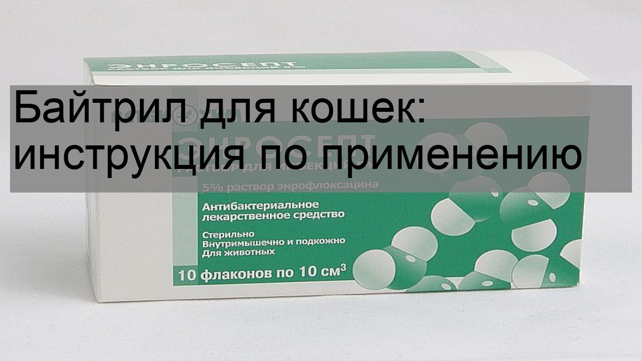 Байтрил для кошек: инструкция по применению