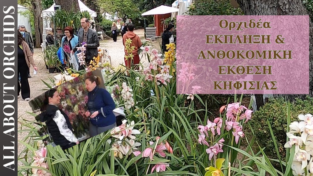 Ορχιδέα έκπληξη και βόλτα στην ανθοκομική έκθεση της Κηφισιάς
