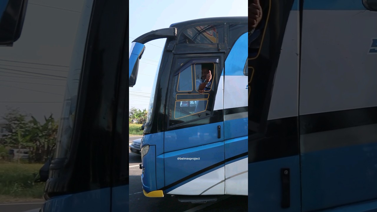 Duet Telolet Alzifa x Telolet Basuri #basuri #shorts #busmania