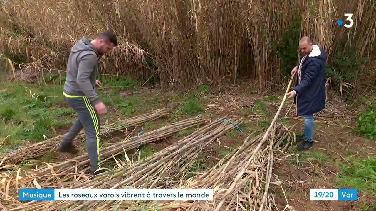 Musique : les roseaux du Var vibrent &agrave; travers le monde