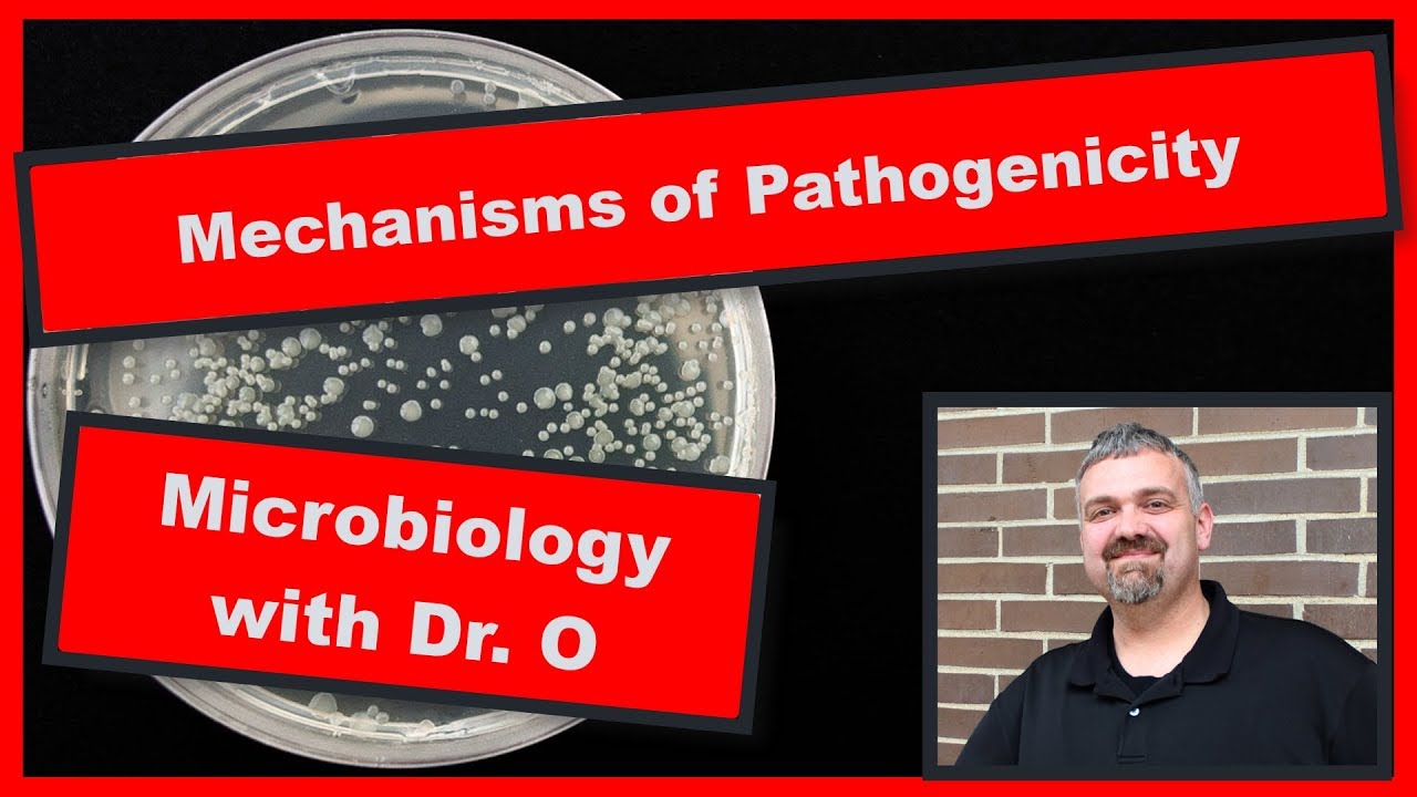 Mechanisms of Pathogenicity:  Microbiology