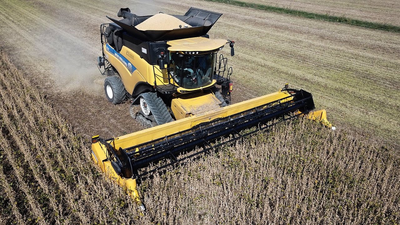 New Holland CR 10.90 | Trebbiatura soia 2022
