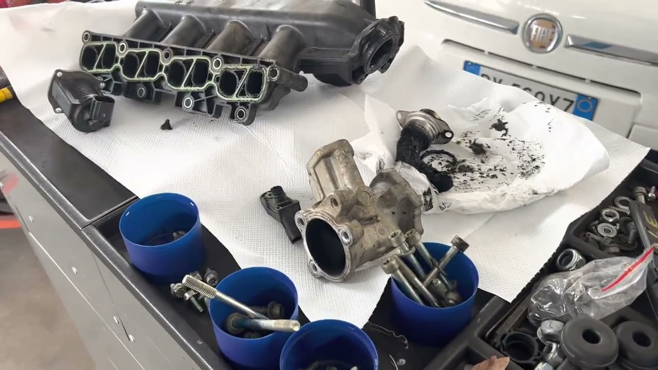 Pulizia collettore e valvola EGR Fiat 500 1.3 m/j