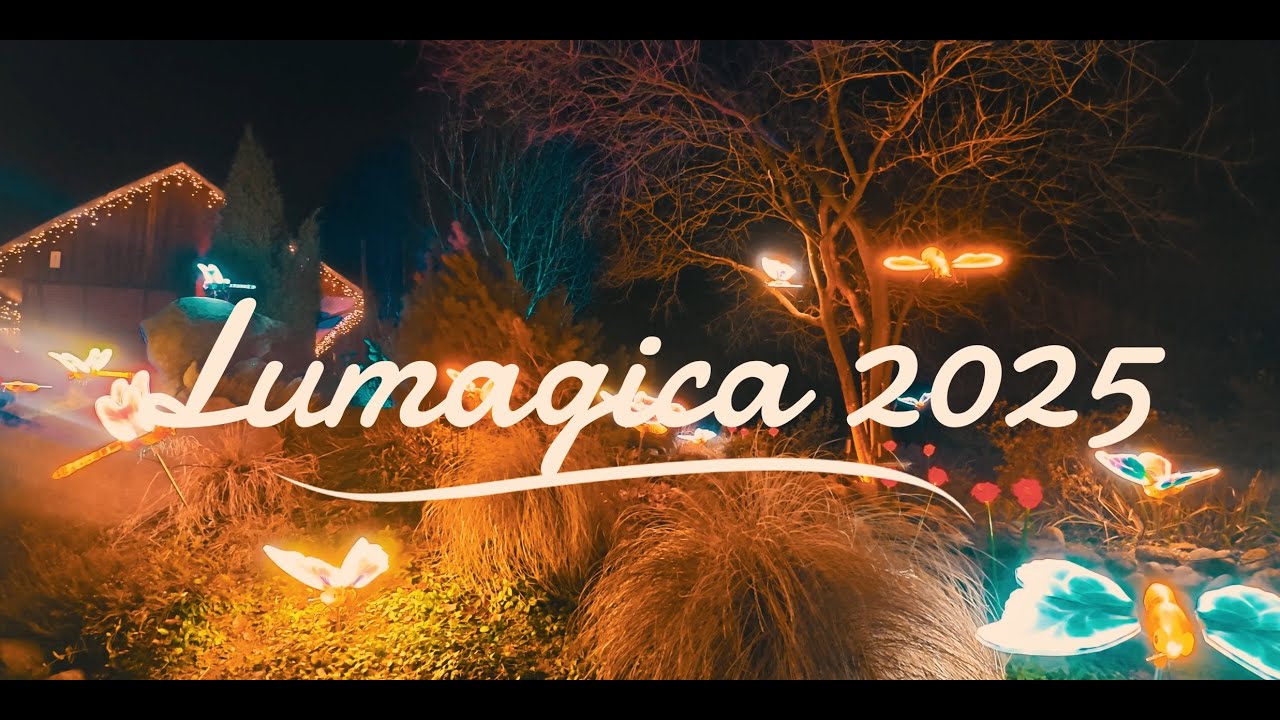 Lumagica in Hamburg 2025